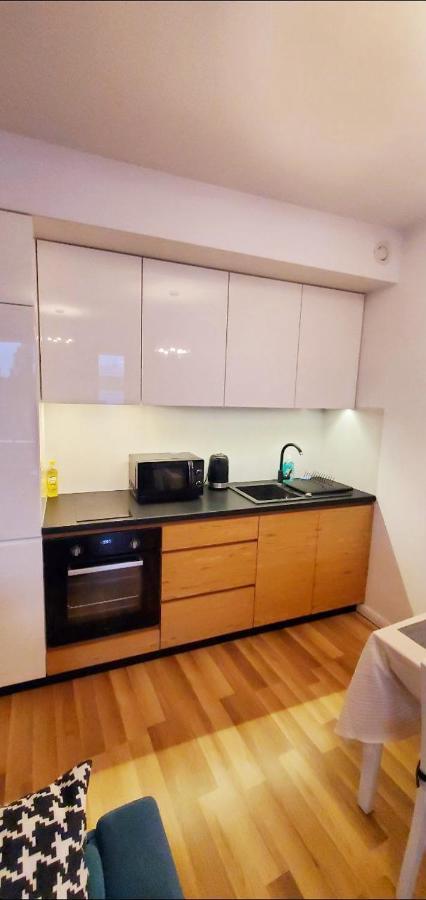 Dworska Studio Apartment Kraków Zewnętrze zdjęcie